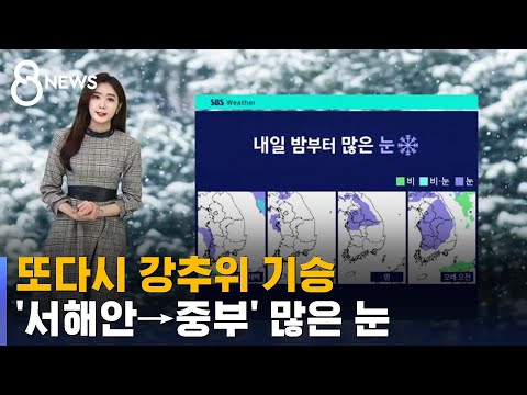 [날씨] 또다시 강추위…'서해안→중부' 전국 많은 눈 / SBS