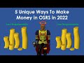 OSRS Pure Series - 5 Unique Money Makers in 2022 (Low/No Requirements)