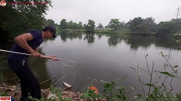 Câu đài - Cá lôi mất cần - Cận cảnh cá trôi kéo phao