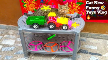 Cat New Funny 🤣 Toys Vlog 🔥 Fun (  Violation97sss ) Enjoy this video English Language 