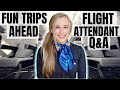 SO MANY FUN TRIPS + Q&A | Flight Attendant Life