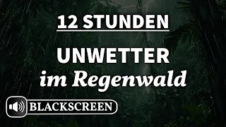 12 Stunden Regengeräusche im Urwald (Schwarzes Bild)
