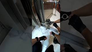 Raccoon Bank Heist Gone Wrong