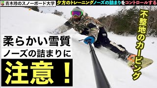 高品質水晶 ✧︎レーザーカービング 雪の結晶 青木玲・柔らかい雪質のカービング］ノーズの詰まりが多くなる雪質