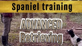 Working Cocker Spaniel: Advanced Blind Retrieve Training/The next step 