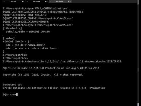 Kerberos Demonstration Part 3 - Windows Client