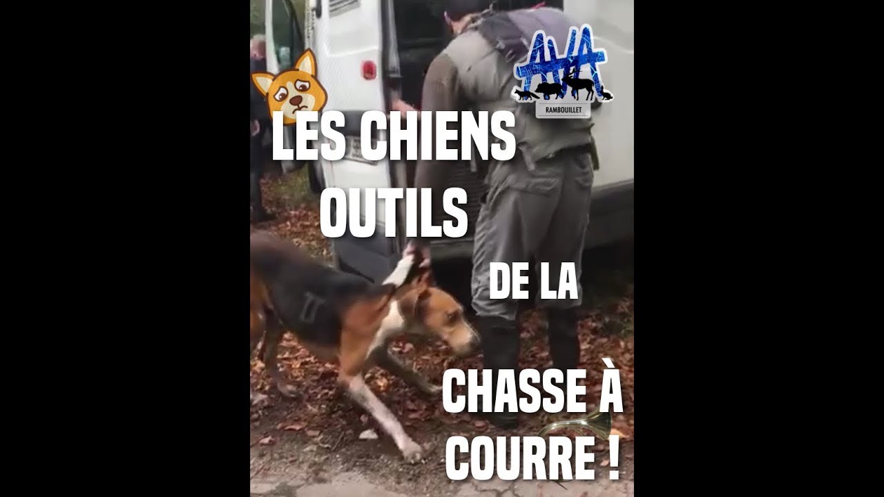 Ava Abolissons La Vénerie Aujourdhui Ensemble