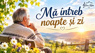 🥀 Mă Întreb, Noapte și Zi... | O Melodie Emoționantă despre Viață și Timp