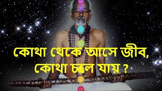 কোথা থেকে আসে জীব, কোথা চলে যায় ?ছান্দোগ্য উপঃ  CHANDOGYA UPND - CH- 6 - ETERNAL PEACE SEEKER - SSPF