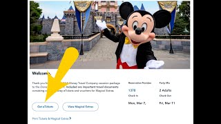 Link Your Disneyland Tickets to Your App screenshot 5