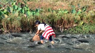 Khmer cast net fishing - Net Fishing at kampong cham Province - Cambodia Traditional fishing #02