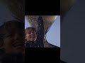 Free Willy But It's A Horse