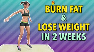 2 Weeks To a Fitter You: Accelerate Fat Burn and Lose Weight With These 22 Home Exercises