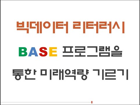   빅데이터 리터러시 BASE 프로그램을 통한 미래역량 기르기