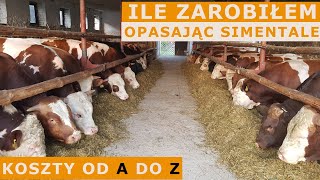 OPŁACALNOŚĆ HODOWLI SIMENTALI