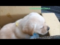 浣腸 動画写真8a