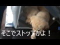 浣腸 動画写真8b