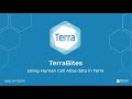 Using HCA data in Terra