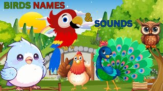 BIRDS Names and Sounds for kids-Birds song-Bird sounds and videos for children