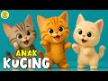 Lagu Anak Anak - ANAK KUCING MEONG MEONG - Lagu Anak & Balita Terbaru Viral