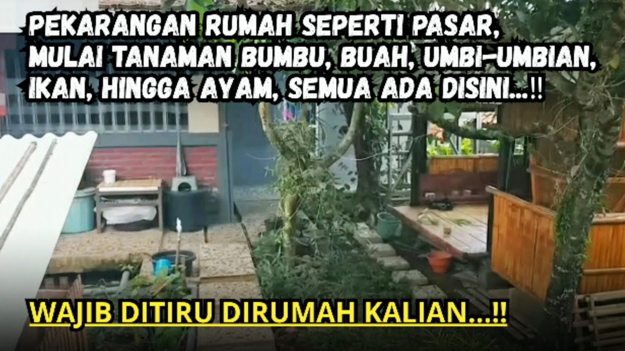 Review Rumah Seperti Pasar || Pekarangan Jadi Sumber Sedekah Untuk Tetangga
