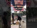 شوفوا هده القرود هجموا على هدا الولد وأكلوا موزهوه جابر الخواطر اكسبلور المنذر Youtubeshorts 