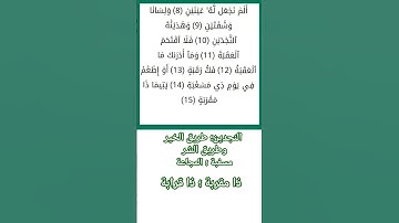سورة البلد مكتوبة من الآية 8 إلى الآية  15 مع معاني الكلمات / surat al-balad #اكسبلور