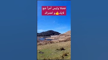 تلاوة هادئة تريح النفس| عبد الرحمن مسعد #عبدالرحمن_مسعد #سورة_العنكبوت #تلاوة_خاشعة