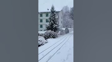 The perfect Snowfall in Switzerland ||Snowy day in Switzerland ||