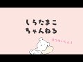 しらたまこちゃんねるの初配信!