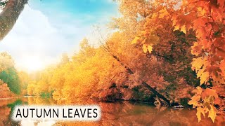 Autumn Leaves / Les Feuilles Mortes