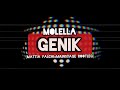 MOLELLA - Genik 🚀 Mattia Falchi mainstage bootleg remix