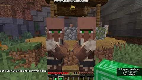 Following Villagers 1.12.2, 1.13.2, 1.14.4 Forge Mod Overview