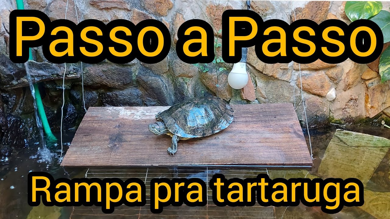 Como fazer uma rampa pra tartaruga, tão simples que vc nem imagina.