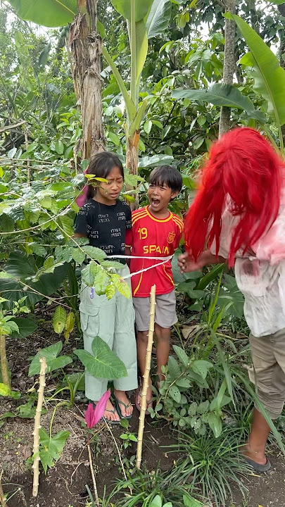RAMA SINTA DI IK4T DI POHON PISANG