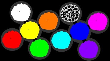 The Team Eliminations Marble Race ASRM #250 in Algodoo