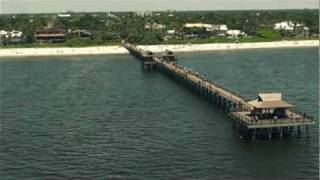 Fl Profiles naples
