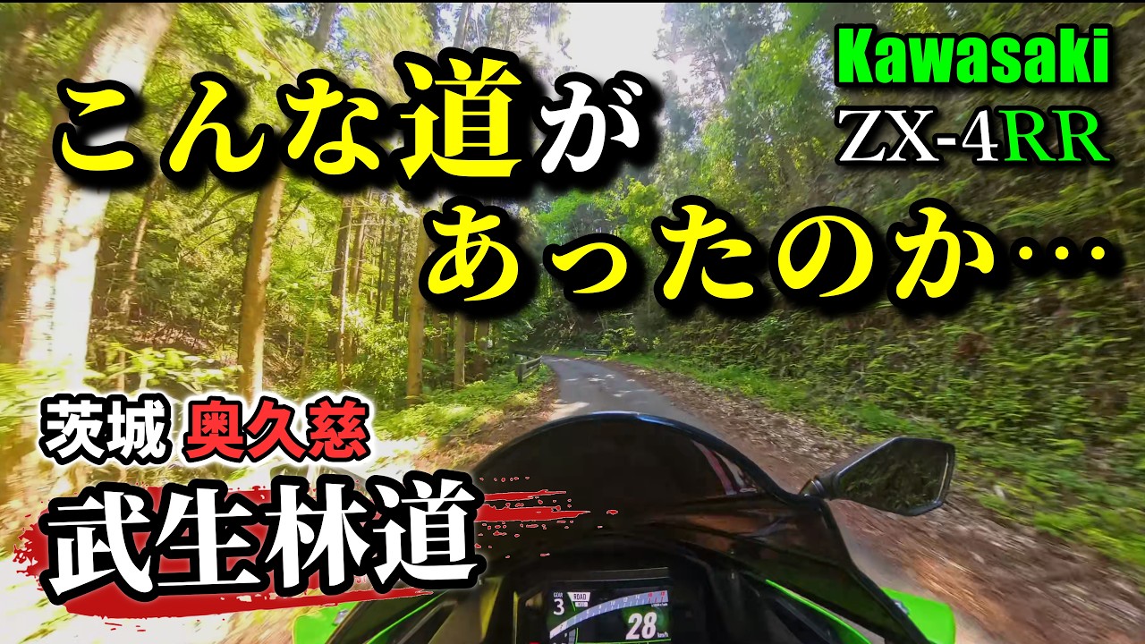 Ibaraki's Hidden Gem] I never knew a road like this existed