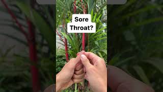 Quick &amp; Natural Sore Throat Remedy