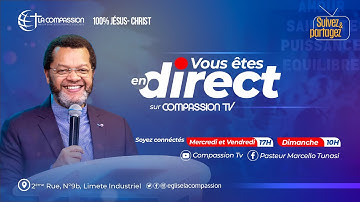 Qui sont les 4 êtres vivants de l