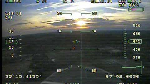 finwing penguin eagletree vector flight 1