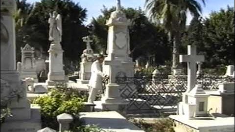 Cavafy - Poet of The City