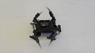 Design &amp; Development of a Proof-of-Concept Transformable UAV System Enabling Quadruped Robot Flight