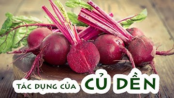 15 công dụng tốt cho sức khỏe ít biết của củ dền