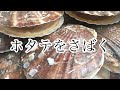 特大サイズのホタテをさばいて食べる｜気仙沼産ホタテ｜ホタテの捌き方