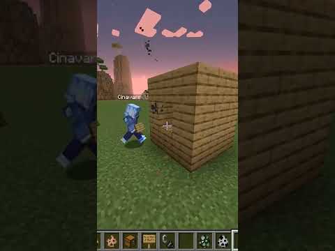 Cinavar çok iyi ev yapar shorts YouTube