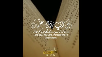 📚وقل رب زدني علما🤍✨سورة طه:١١٤|شريف مصطفى|Surah Ta Ha:114|Sherif Mostafa
