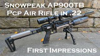 Snowpeak AP900TB PCP BUDGET Air Rifle in .22, First Impressions are immediately promising!