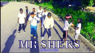 Mr Sheks best song dance move in 2023 (Faithful God)