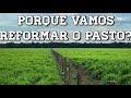 Porque vamos reformar o pasto? - EP 16